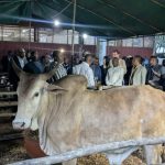 SIALO 2025 – Exposition Élevage : « Encourager les jeunes aux métiers de l’agriculture… », dixit ATTIKPO Heatson Tito