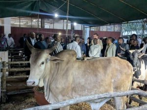 Lire la suite à propos de l’article SIALO 2025 – Exposition Élevage : « Encourager les jeunes aux métiers de l’agriculture… », dixit ATTIKPO Heatson Tito