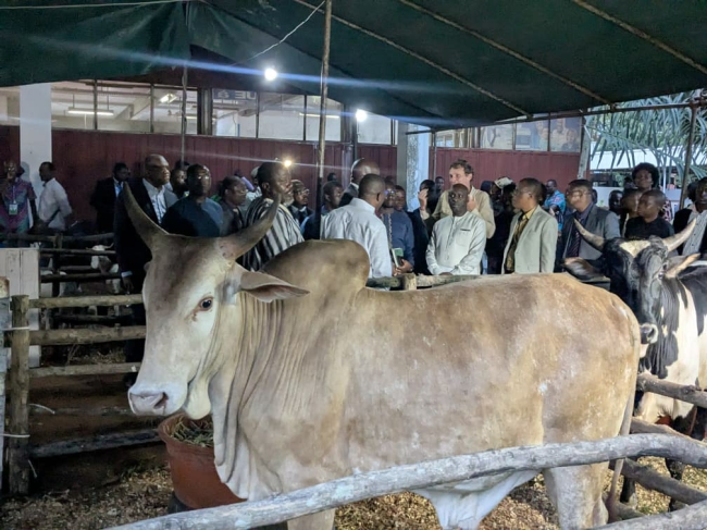 Lire la suite à propos de l’article SIALO 2025 – Exposition Élevage : « Encourager les jeunes aux métiers de l’agriculture… », dixit ATTIKPO Heatson Tito