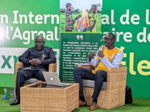 Lire la suite à propos de l’article SIALO 2025 / Difficultés d&rsquo;accès aux financements par les éleveurs : Nécessité de revoir les modèles selon Ibrahima Théo Lam